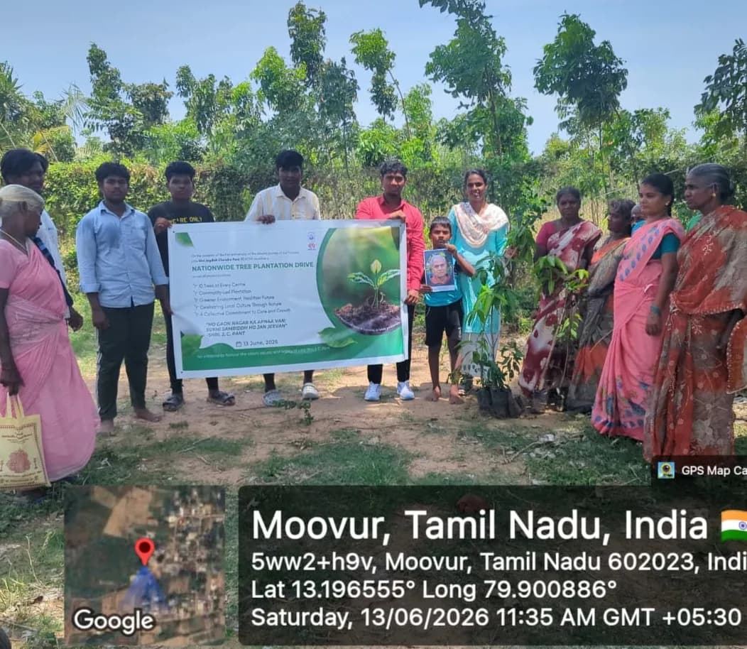 Plantation Drive